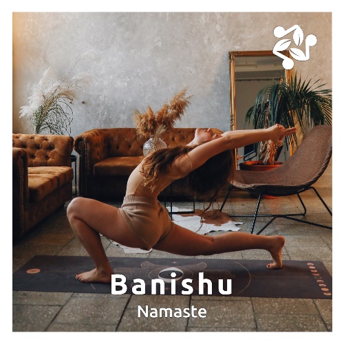 Cover art for the track 'Namaste' by Banishu