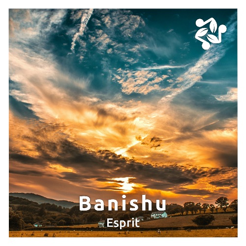 Cover art for the track 'Esprit' by Banishu
