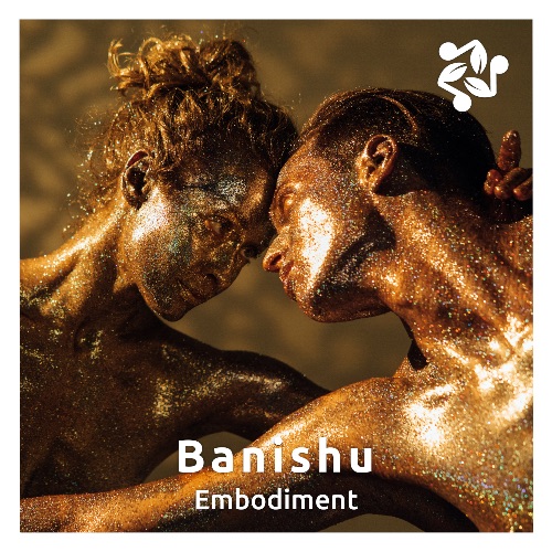 Cover art for the track 'Embodiment' by Banishu