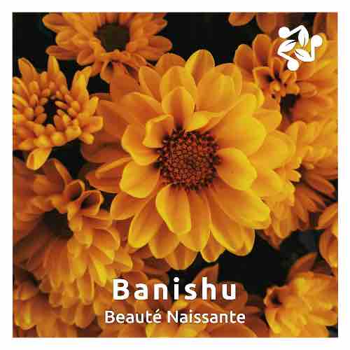 Cover art for the track 'Beaute Naissante' by Banishu