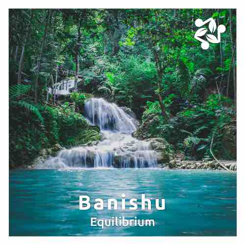 Cover art for the track 'Equilibrium' by Banishu